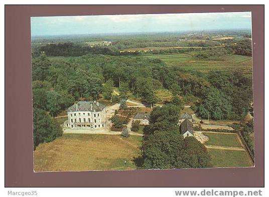 18773 Hennebont - Port-louis Le Château De Locguénolé N°15 édit.artaud Belle Cpsm - Hennebont