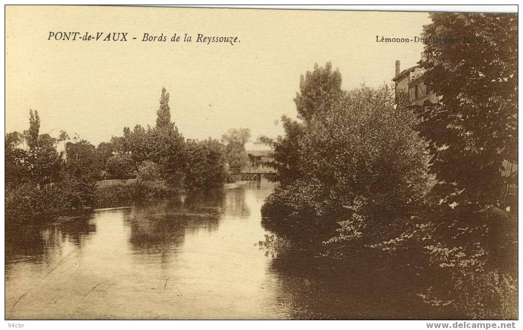 CPA (01)  PONT DE VAUX    Bords De La Reyssouze - Pont-de-Vaux