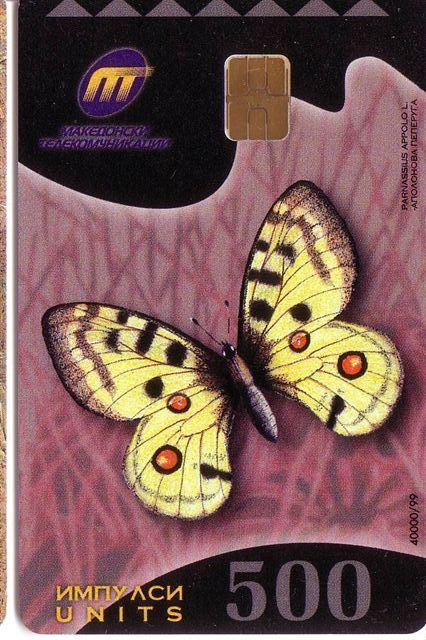 BUTTERFLY  ( Macedonia Rare Card 500. U) * Papillon Butterflies Schmetterling Papillons Mariposa Farfalla Vlinder Animal - North Macedonia