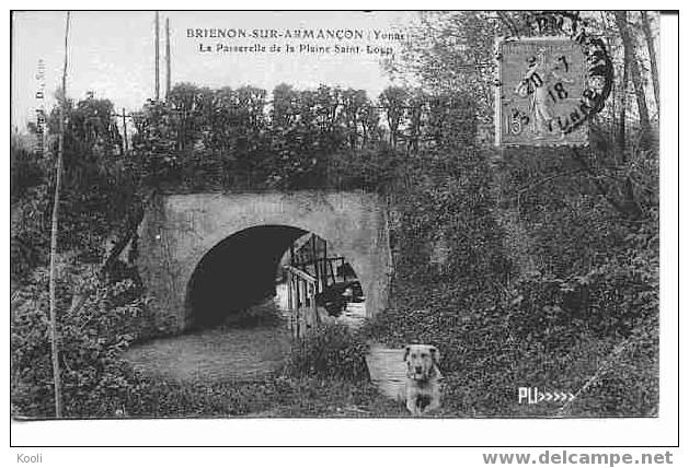 89Z73-BRI-2 - BRIENON - Passerelle De La Plaine St-Loup - Chien - Brienon Sur Armancon