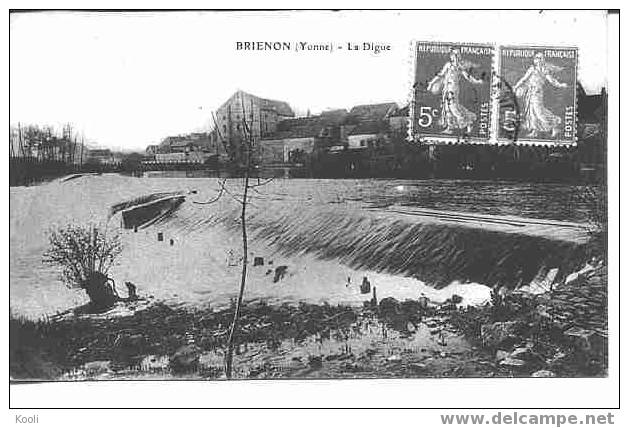 89Z73-BRI-4 - BRIENON - La Digue - Brienon Sur Armancon