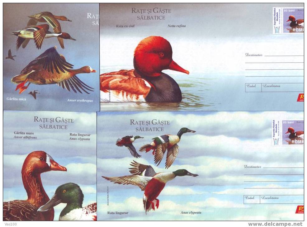 Romania ,2007 BIRDS STATIONERY COVERS 4X - Papagayos