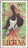 Lithuania -1991 Birds In The Red Book-MNH - Cigognes & échassiers