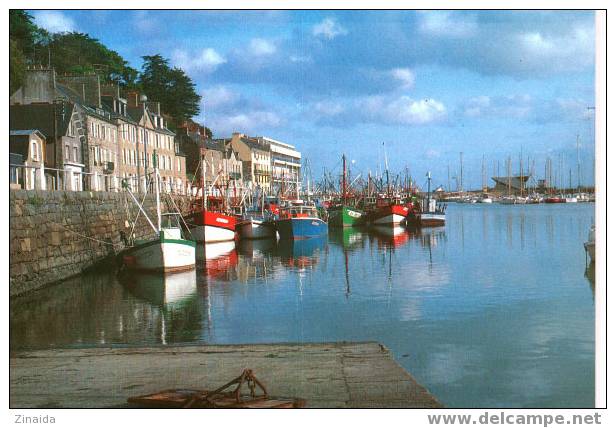 CARTE POSTALE DE BINIC - LE PORT - Binic