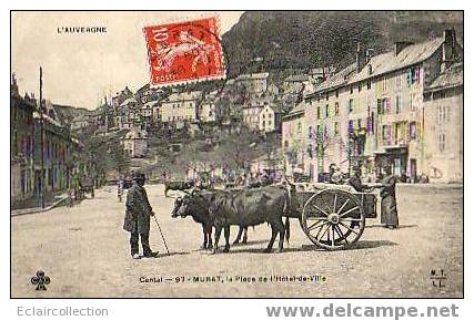 Murat    15   Attelage... Place De L'Hotel De Ville   (voir Scan) - Murat