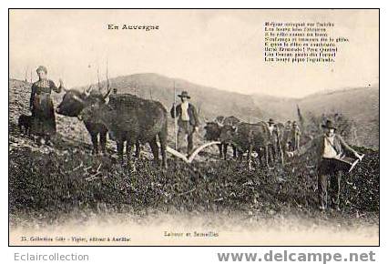 Non Classé .Auvergne Cantal ..Travaux Des Champs..Labourage..Labour ..et.. Semailles   (voir Scan) - Other & Unclassified