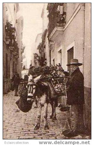 SEVILLA :: Vendedor De Frutas - Sevilla