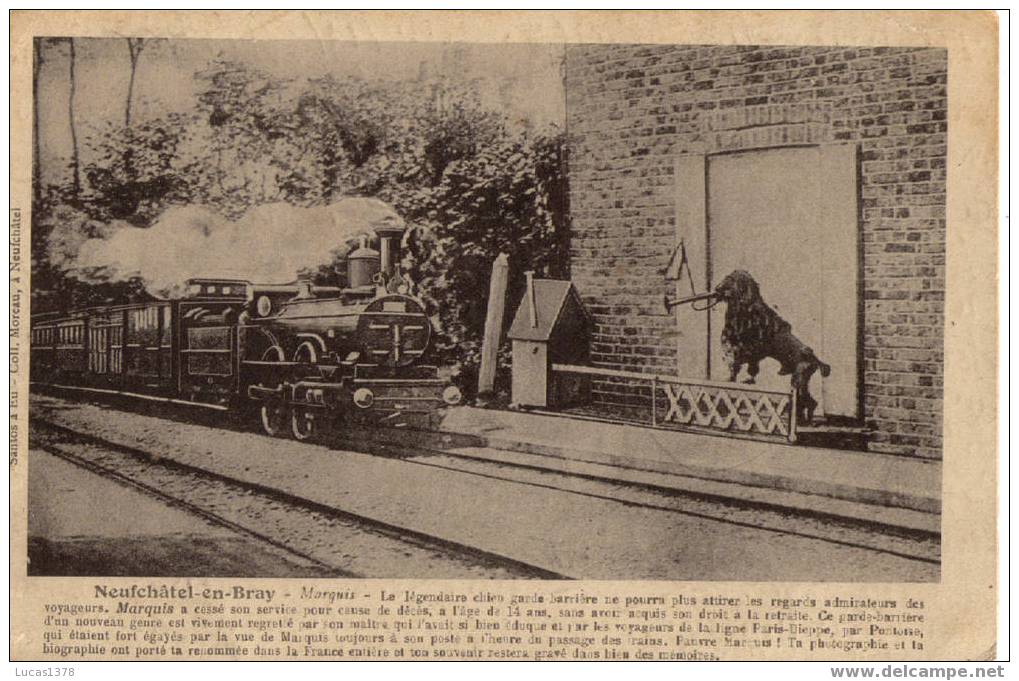 76 / 76 - CHEMIN DE FER - NEUFCHATEL-en-BRAY - MARQUIS, LE LEGENDAIRE GARDE-BARRIERE - Neufchâtel En Bray