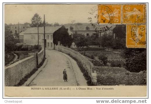 Boissy-l'Aillerie - L'Oiseau Bleu - Vue D'ensemble - Boissy-l'Aillerie