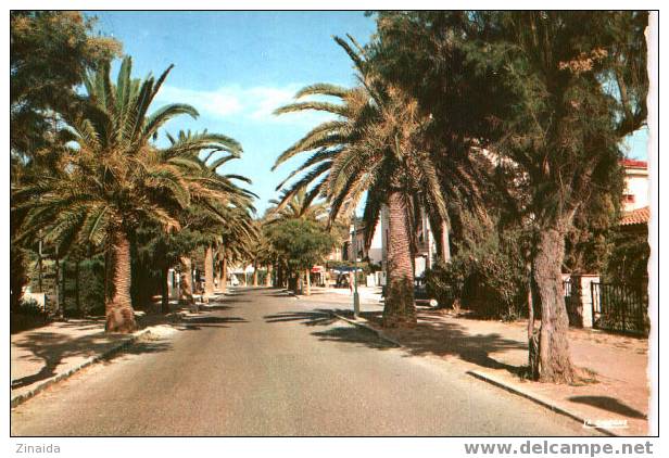 CARTE POSTALE DE SANARY - L AVENUE DE PORT-ISSOL - Sanary-sur-Mer