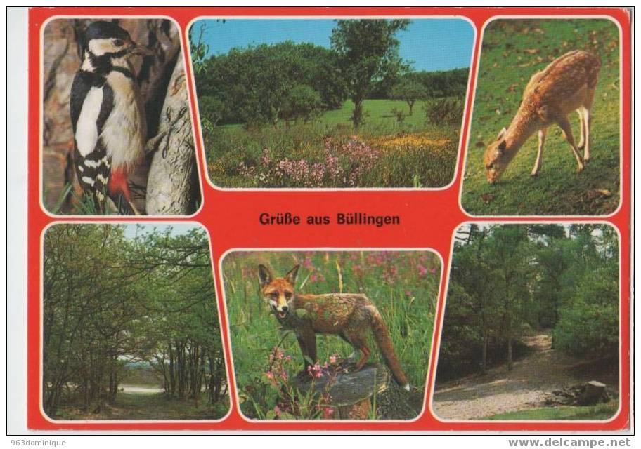 Grüsse Aus Büllingen - Bullange - Bullingen