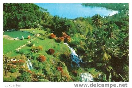 JAMAICA. THE QUIET TROPICAL GARDENS OF JAMAICA'S NORTH SHORE NEAR OCHO RIOS . - Jamaïque