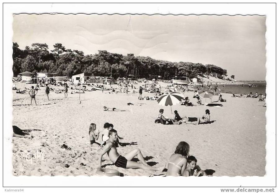 CHARENTE-MARITIME / ÎLE D´OLERON / SAINT-TROJAN / PLAGE DE GATSEAU  ( Partie De BEACH-VOLLEY = VOLLEY-BALL à Gauche ! ) - Volleybal