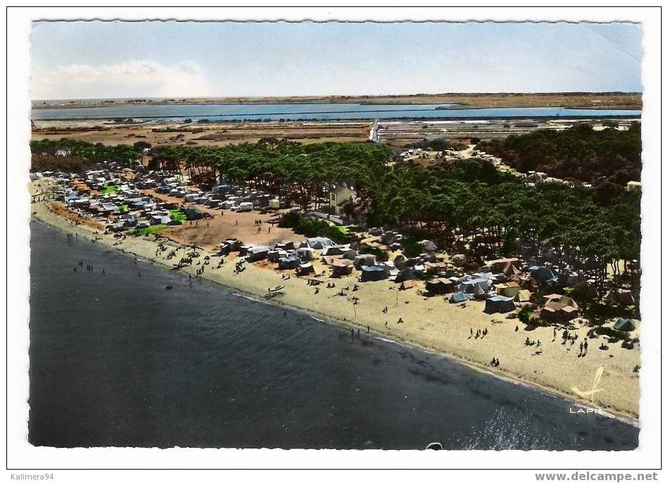 VENDEE / NOIRMOUTIER-EN-L´ÎLE / LE TERRAIN DE CAMPING DE LA PLAGE DES SABLEAUX   ( Filet De BEACH-VOLLEY = VOLLEYBALL ) - Pallavolo