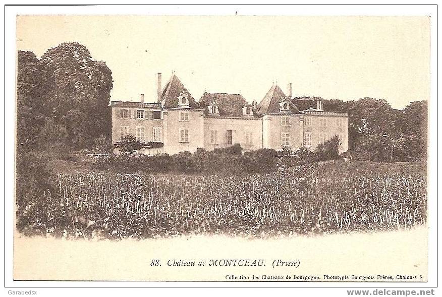 CPA Du Château De MONTCEAU. - Montceau Les Mines