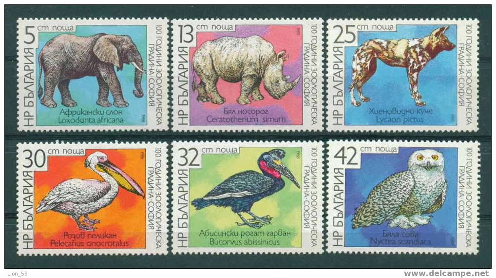 3686 Bulgaria 1988 Sofia Zoo Animals ** MNH / Rhinoceros - Breitmaulnashorn (Ceratotherium Simum) - Rhinocéros