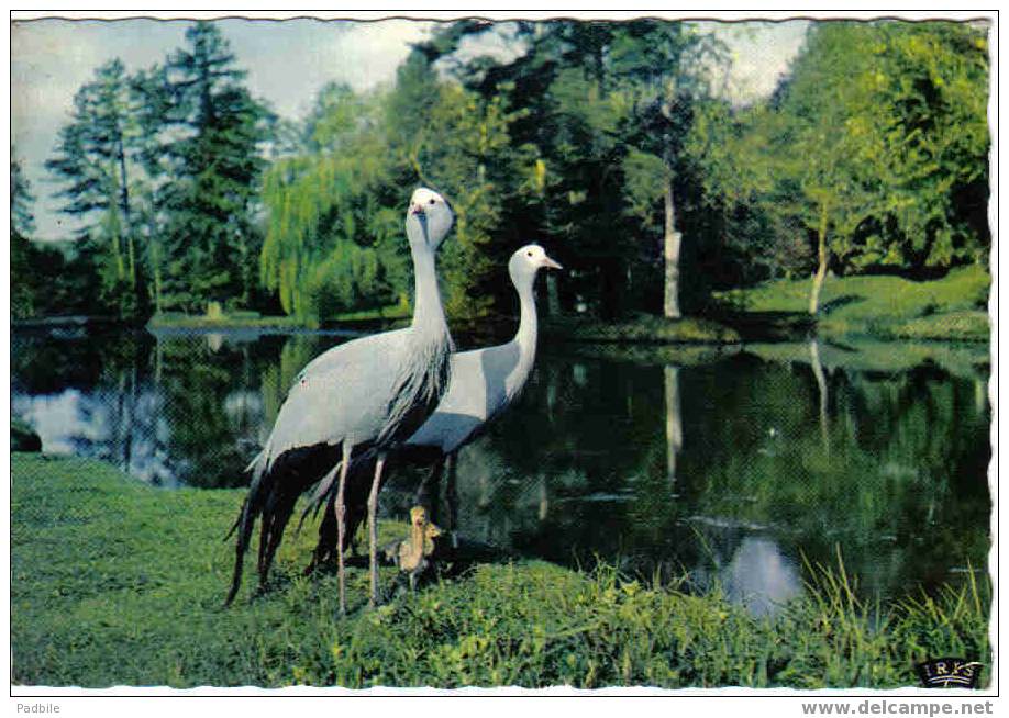 Carte Postale  76.  Cleres  Le Zoo  Grues De Paradis - Clères