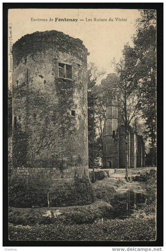 ENVIRONS DE FONTENAY *Les Ruines Du Vivier - Fontenay Tresigny