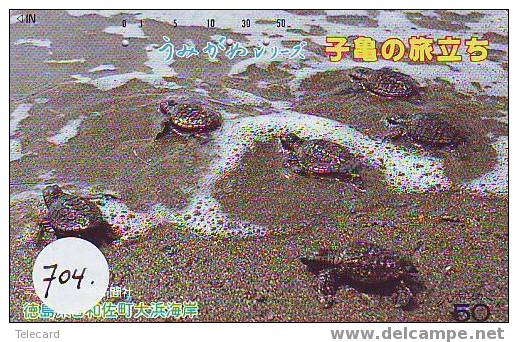 Telecarte Tortoise (704) Sea Turtle ? Schildpad ? Schildkroete ? Tartaruga ? Tortue ? Turtle - Turtles