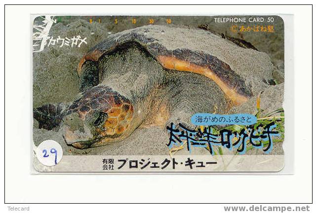 Telecarte Tortoise (29) Sea Turtle – Schildpad – Schildkroete – Tartaruga – Tortue – Turtle - Turtles