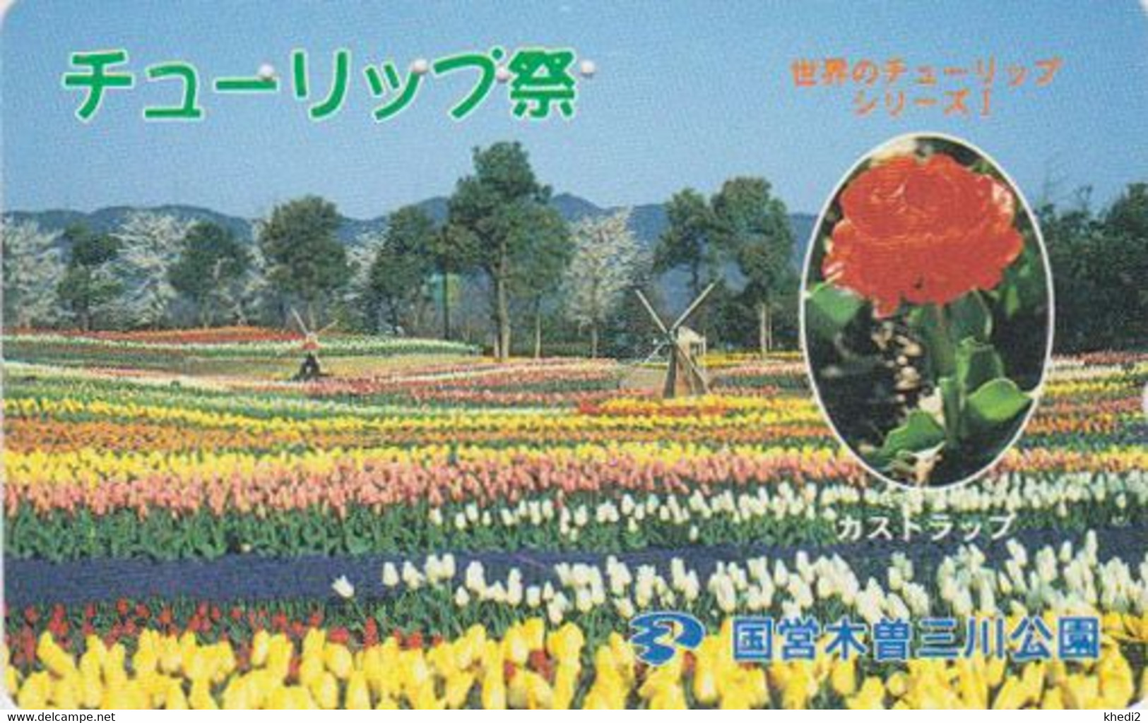 Télécarte JAPON / 110-401033 - MOULIN A VENT & Champ De Tulipes  - MILL JAPAN Free  Phonecard HOLLAND Rel- 14 - Paysages