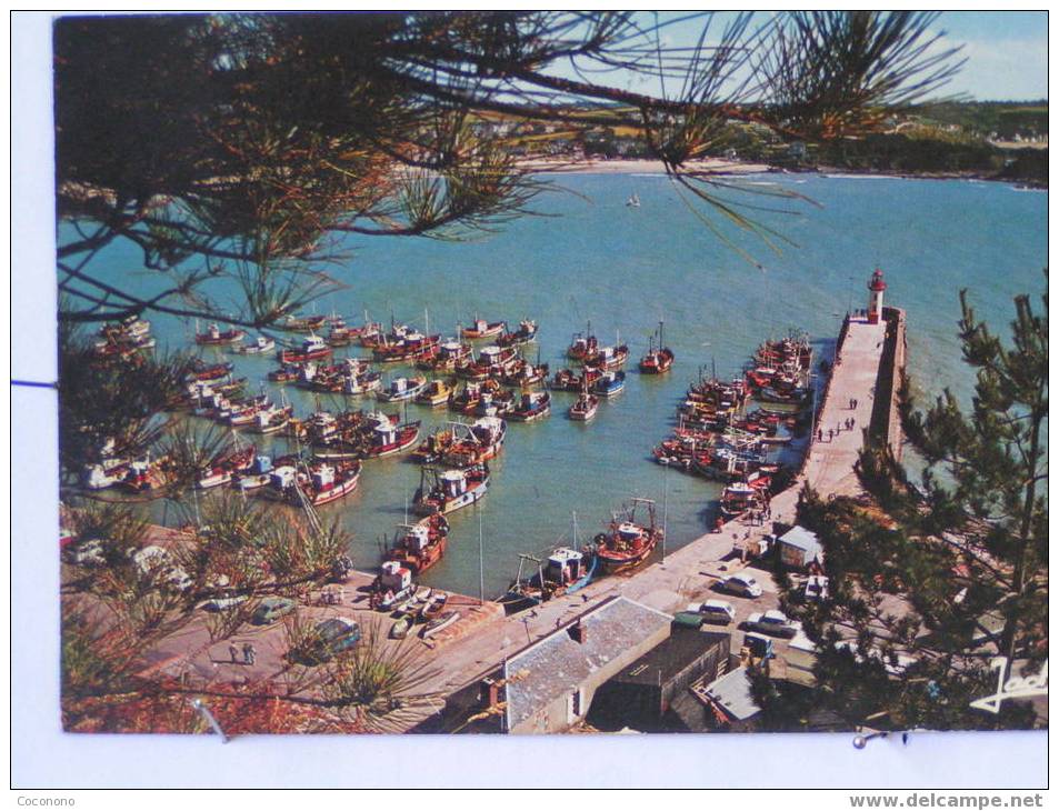 Erquy - Le Port à Travers Les Arbres - Erquy