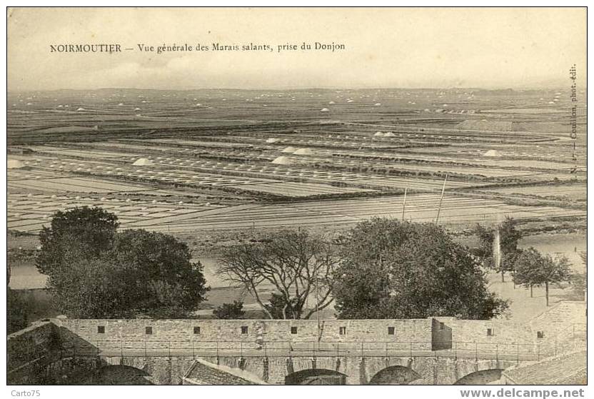 NOIRMOUTIER 85 - Vue Générale Des Marais Salants Prise Du Donjon - Sel - Noirmoutier