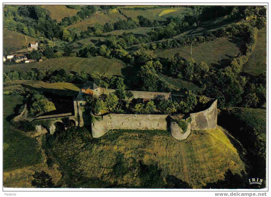 Carte Postale  64.  Mauléon-Soule Le Chateau - Mauleon Licharre