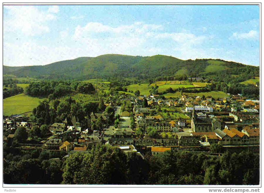 Carte Postale  64.  Mauléon-Soule - Mauleon Licharre