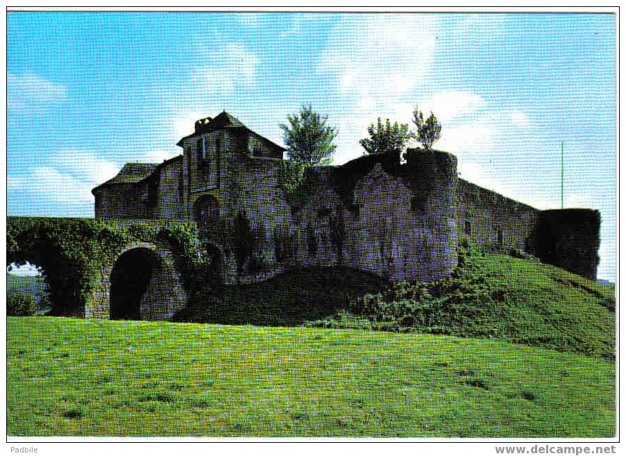 Carte Postale  64.  Mauléon-Soule   Le Chateau Fort - Mauleon Licharre