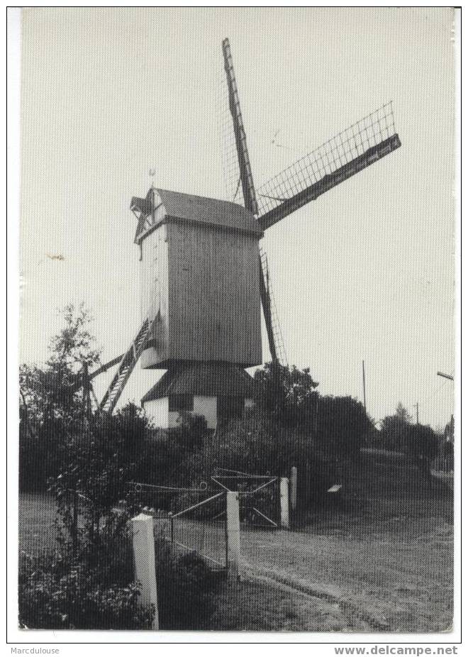 Knesselare. Pietendriesmolen. Windmolen. Moulin à Vent. - Knesselare