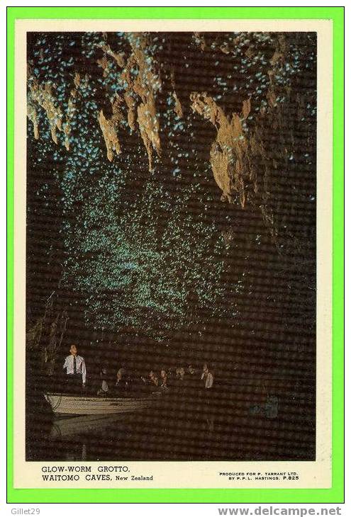 WAITOMO CAVES,N.Z. - GLOW-WORM GROTTO - ANIMATED - P.P.L.  HASTINGS - - New Zealand