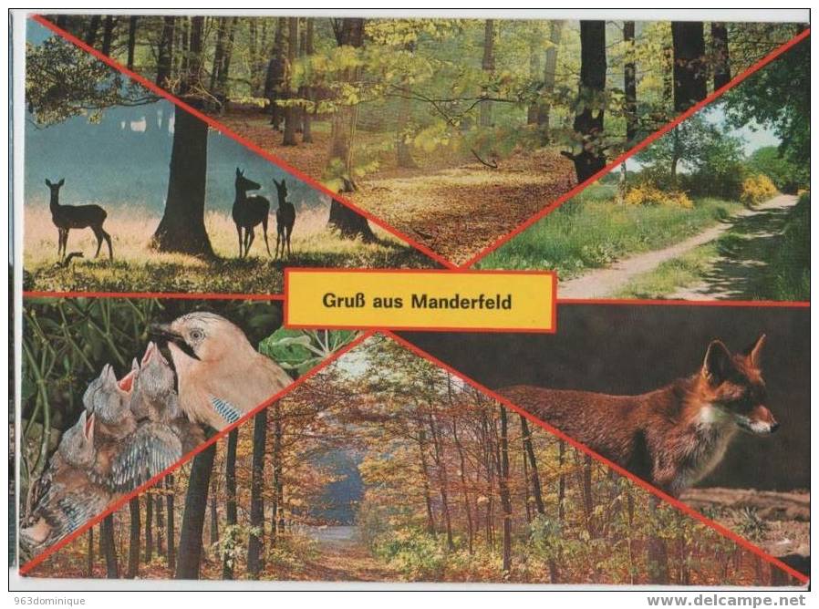 Gruss Aus Manderfeld 1983 - Bullange - Buellingen