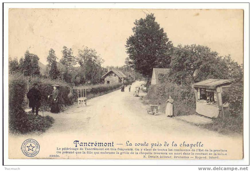 C123 -  TANCREMONT - La Route Près De La Chapelle - Pepinster