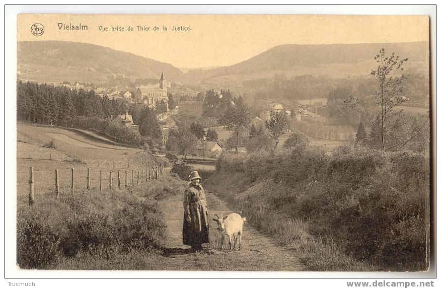 C186 - VIELSALM - Vue Prise Du Thier De La Justice - Vielsalm