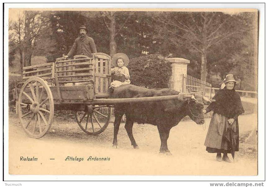 C189 - Vielsalm - Attelage Ardennais - Vielsalm