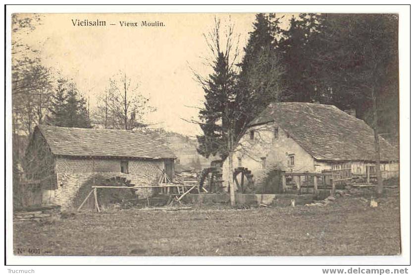 C191 - Vielsalm - Vieux Moulin - Vielsalm