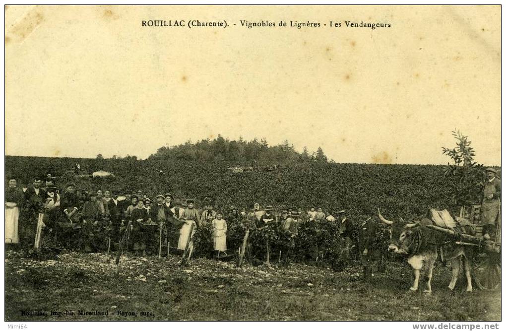 16 . CHARENTE . ROUILLAC .  VIGNOBLES DE LIGNERES LES VENDANGEURS . - Rouillac