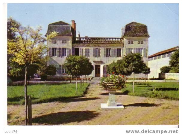 JULIENAS - Le Château Du BOIS DE LA SALLE - Julienas