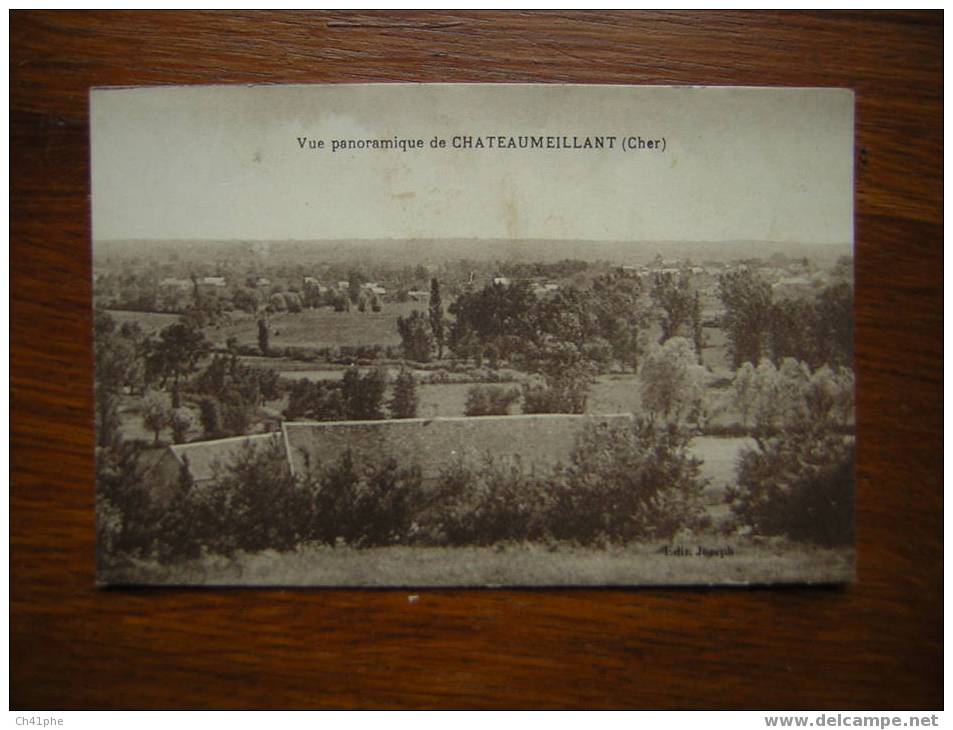 CHATEAUMEILLANT / VUE PANORAMIQUE - Meillant