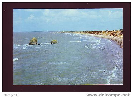 19556 Penestin Sur Mer Plage De La Mine D'or N° 6 Edit. Artaud Belle Cpsm - Pénestin