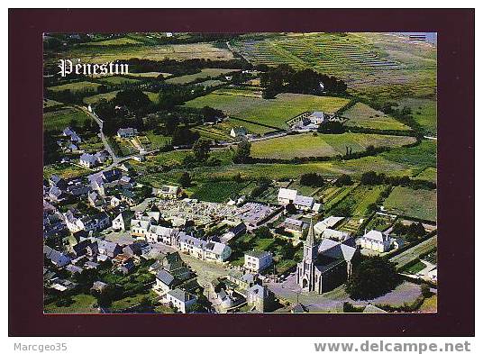 19558 La France Vue Du Ciel Penestin Vue Générale Aérienne N° 411/56 Edit. Artaud Belle Cpsm - Pénestin