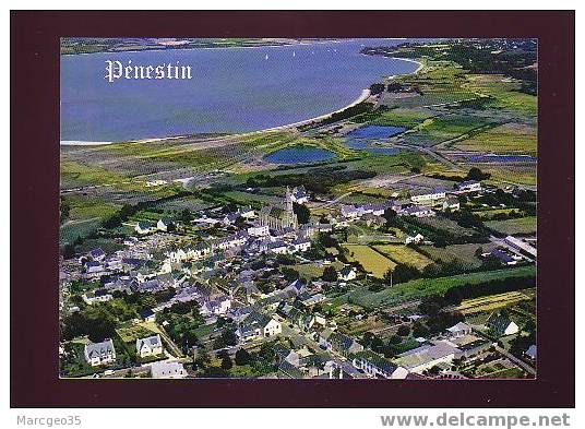 19559 La France Vue Du Ciel Penestin Vue Générale N° 412/56 Edit. Artaud Belle Cpsm - Pénestin