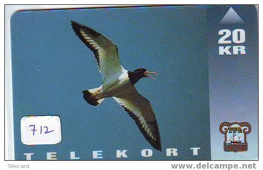 Bird OISEAU Vogel PÁJARO (712) - Faroe Islands