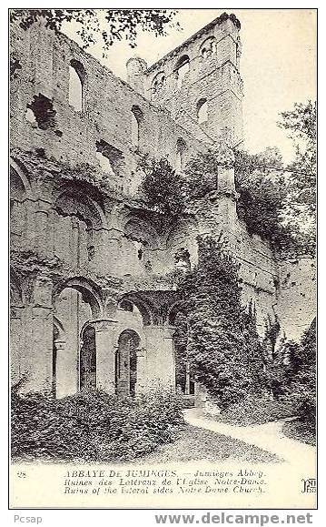 Abbaye De Jumièges - Ruines Des Latéraux De L´Eglise Notre Dame - Jumieges