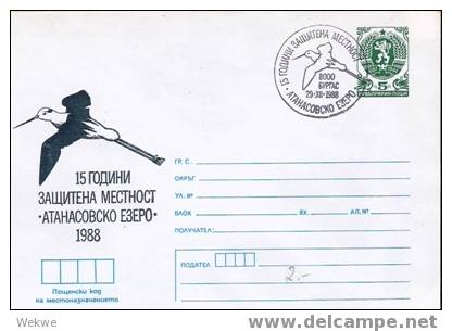 Bu019/  BULGARIEN - Wappen-GA 1988, Storch Im Sonderstempel (Vogelmotiv) - Luchtpostbladen