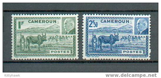 CAM 62 - YT 200/201 ** - Unused Stamps