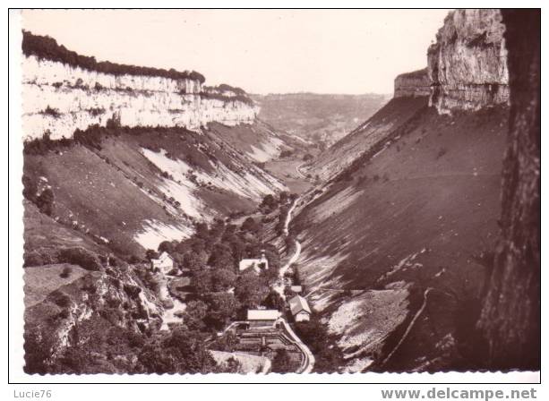 BAUME LES MESSIEURS -   Vue Générale De La Vallée -  N° 31 - Baume-les-Messieurs