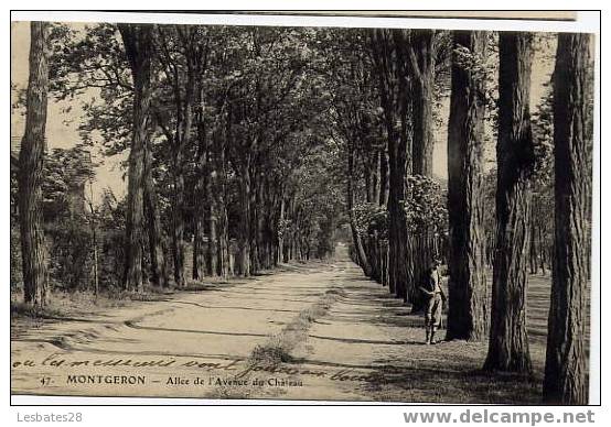 CPA 91.-MONTGERON.-Allée De L'Avenue Du Château- 1 Enfant Pose Près D'un Arbre - Montgeron