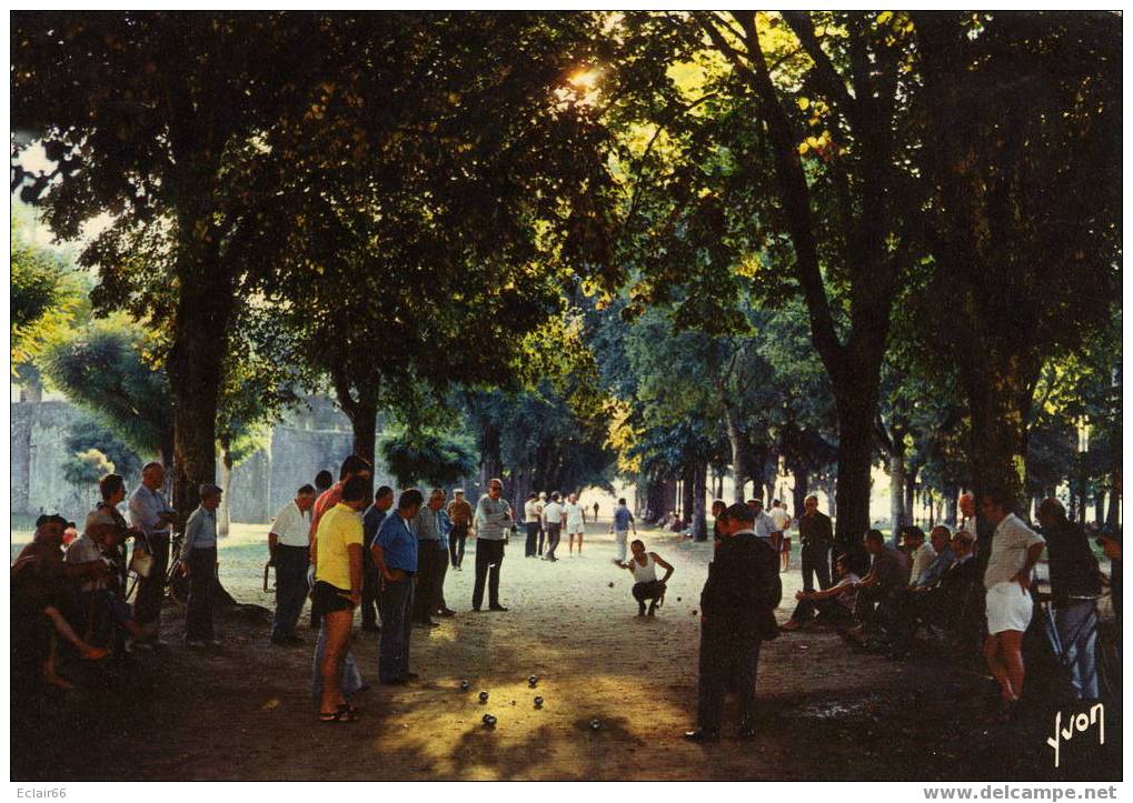 PETANQUE BOULISTES   Au Parc THEODORE  DENIS    A  DAX      (LANDES) - Bocce